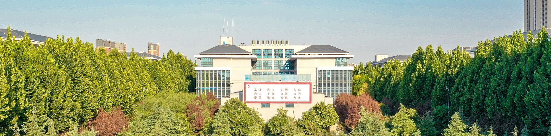 437ccm·必赢国际